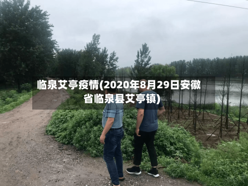 临泉艾亭疫情(2020年8月29日安徽省临泉县艾亭镇)-第2张图片