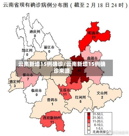 云南新增15例确诊/云南新增15例确诊来源