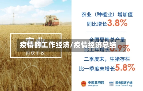 疫情的工作经济/疫情经济总结