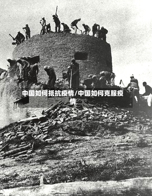中国如何抵抗疫情/中国如何克服疫情
