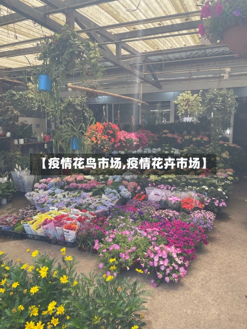 【疫情花鸟市场,疫情花卉市场】