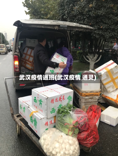 武汉疫情通班(武汉疫情 通灵)