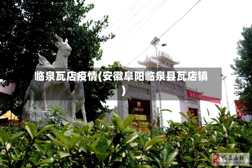 临泉瓦店疫情(安徽阜阳临泉县瓦店镇)