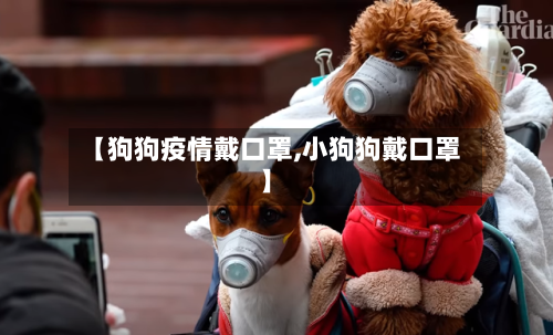【狗狗疫情戴口罩,小狗狗戴口罩】-第2张图片