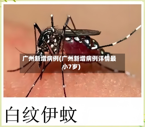 广州新增病例(广州新增病例详情最小7岁)