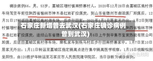 石家庄新增曾去武汉(石家庄确诊病例曾到武汉)-第2张图片