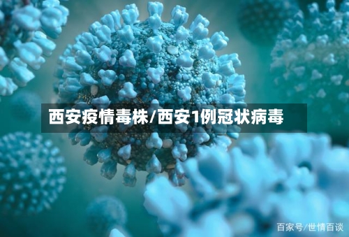 西安疫情毒株/西安1例冠状病毒