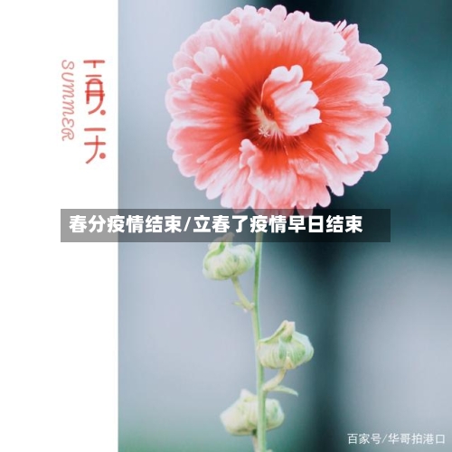 春分疫情结束/立春了疫情早日结束