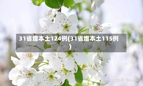 31省增本土124例(31省增本土115例)-第2张图片