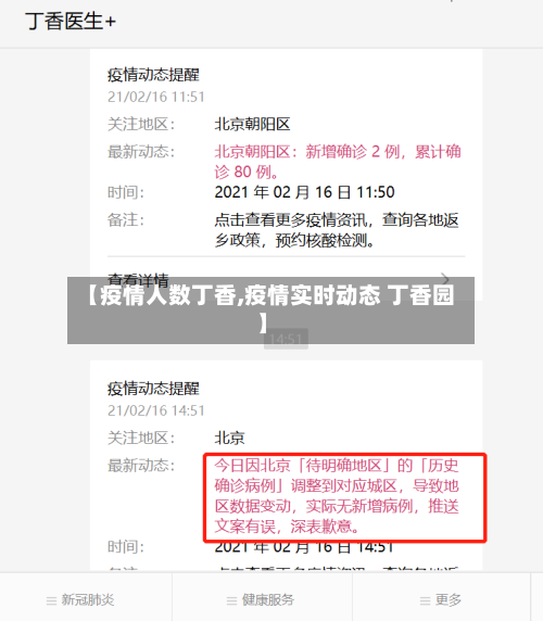【疫情人数丁香,疫情实时动态 丁香园】