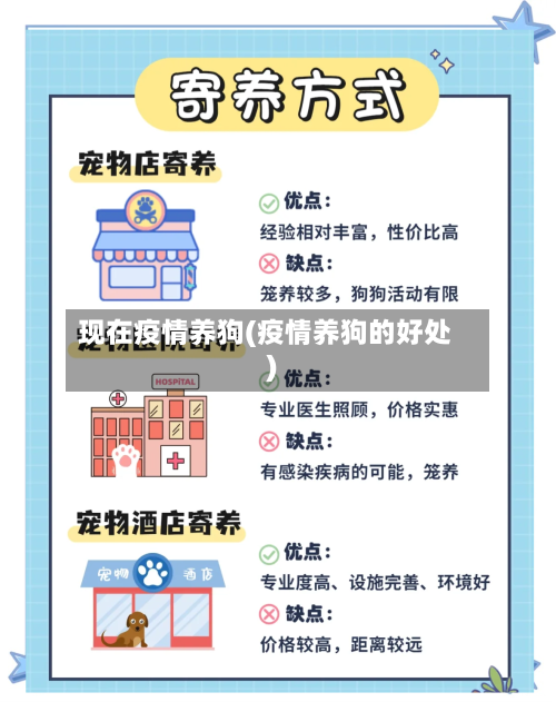 现在疫情养狗(疫情养狗的好处)