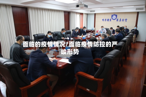 面临的疫情情况/面临疫情防控的严峻形势