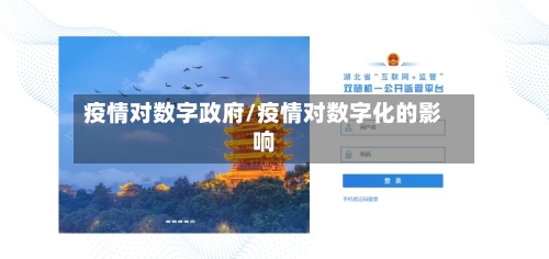 疫情对数字政府/疫情对数字化的影响