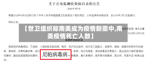 【世卫组织称南美成为疫情新震中,南美疫情死亡人数】-第2张图片