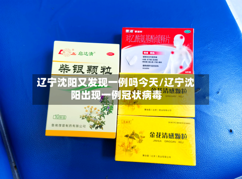 辽宁沈阳又发现一例吗今天/辽宁沈阳出现一例冠状病毒-第2张图片