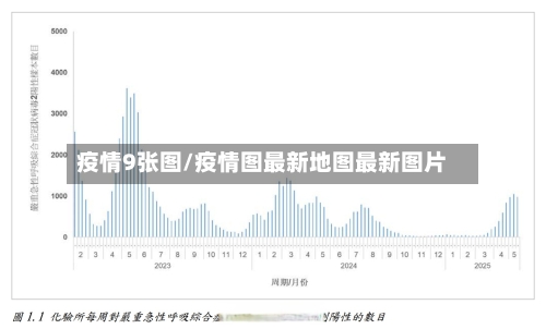 疫情9张图/疫情图最新地图最新图片-第2张图片