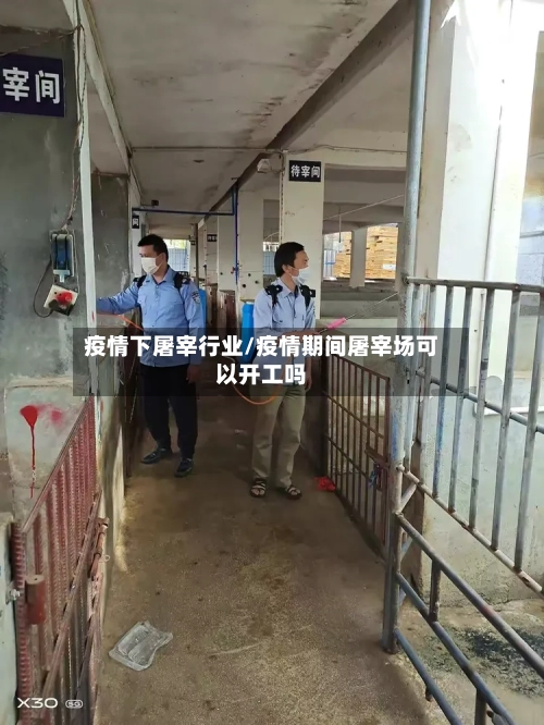 疫情下屠宰行业/疫情期间屠宰场可以开工吗-第2张图片