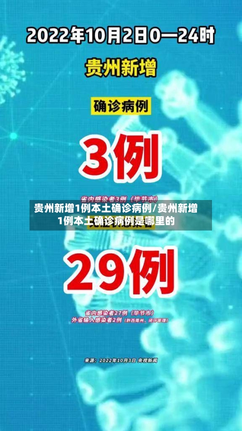 贵州新增1例本土确诊病例/贵州新增1例本土确诊病例是哪里的-第2张图片