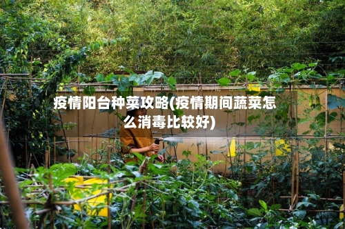 疫情阳台种菜攻略(疫情期间蔬菜怎么消毒比较好)