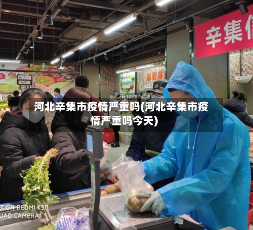 河北辛集市疫情严重吗(河北辛集市疫情严重吗今天)-第3张图片