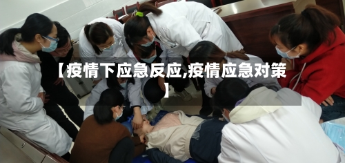 【疫情下应急反应,疫情应急对策】-第2张图片