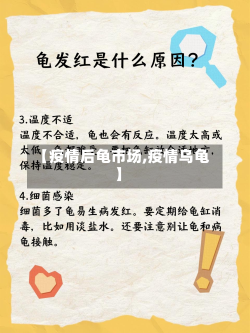 【疫情后龟市场,疫情乌龟】-第3张图片