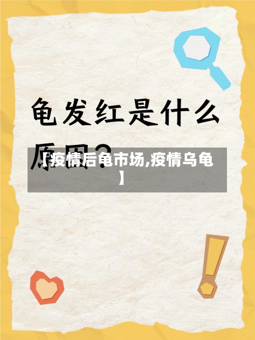 【疫情后龟市场,疫情乌龟】-第2张图片