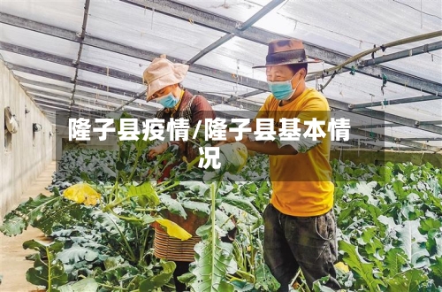 隆子县疫情/隆子县基本情况-第3张图片