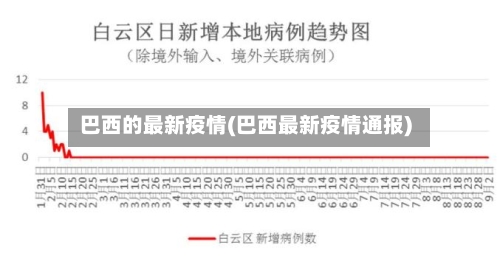 巴西的最新疫情(巴西最新疫情通报)