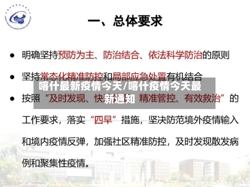 喀什最新疫情今天/喀什疫情今天最新通知-第2张图片