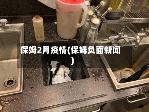 保姆2月疫情(保姆负面新闻)-第3张图片