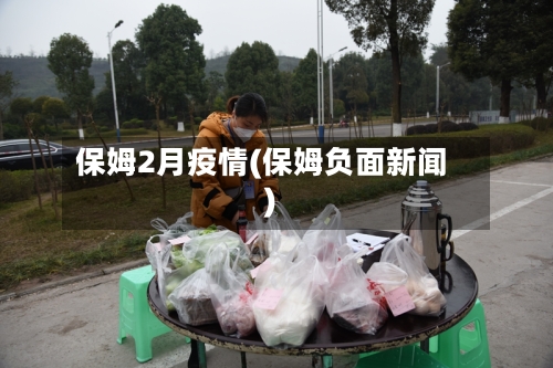 保姆2月疫情(保姆负面新闻)-第2张图片