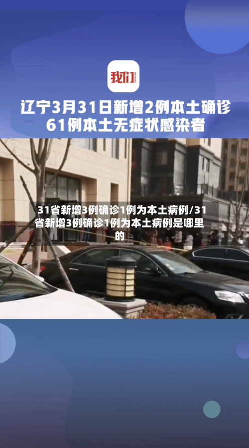 31省新增3例确诊1例为本土病例/31省新增3例确诊1例为本土病例是哪里的-第3张图片