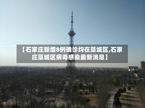 【石家庄新增8例确诊均在藁城区,石家庄藁城区病毒感染最新消息】-第2张图片