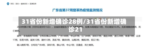 31省份新增确诊28例/31省份新增确诊21