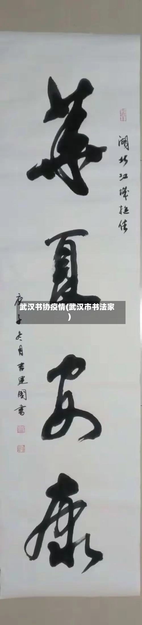 武汉书协疫情(武汉市书法家)