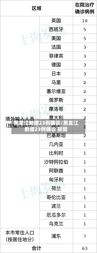 黑龙江新增23例确诊/黑龙江新增23例确诊 新闻-第2张图片
