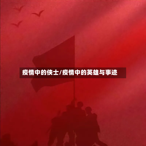 疫情中的侠士/疫情中的英雄与事迹