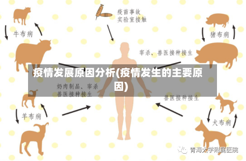 疫情发展原因分析(疫情发生的主要原因)