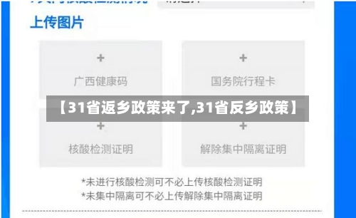【31省返乡政策来了,31省反乡政策】-第3张图片