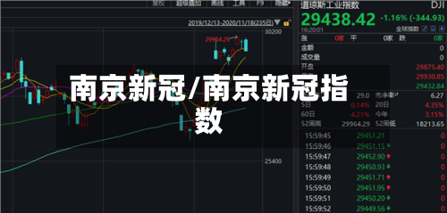 南京新冠/南京新冠指数
