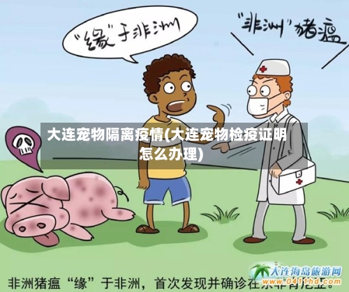大连宠物隔离疫情(大连宠物检疫证明怎么办理)