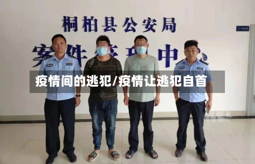 疫情间的逃犯/疫情让逃犯自首-第2张图片