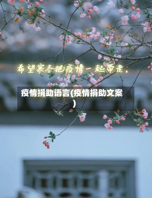 疫情捐助语言(疫情捐助文案)