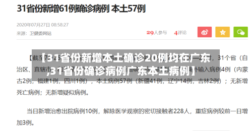 【31省份新增本土确诊20例均在广东,31省份确诊病例广东本土病例】-第2张图片