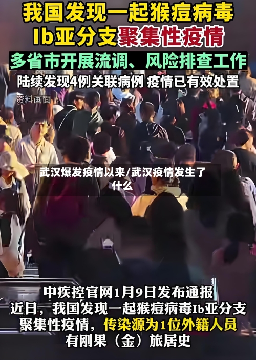 武汉爆发疫情以来/武汉疫情发生了什么-第3张图片