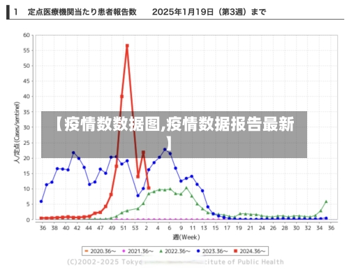 【疫情数数据图,疫情数据报告最新】-第3张图片
