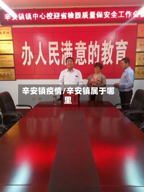 辛安镇疫情/辛安镇属于哪里-第3张图片