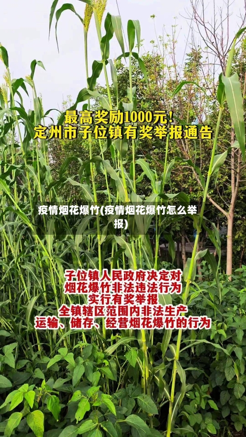 疫情烟花爆竹(疫情烟花爆竹怎么举报)