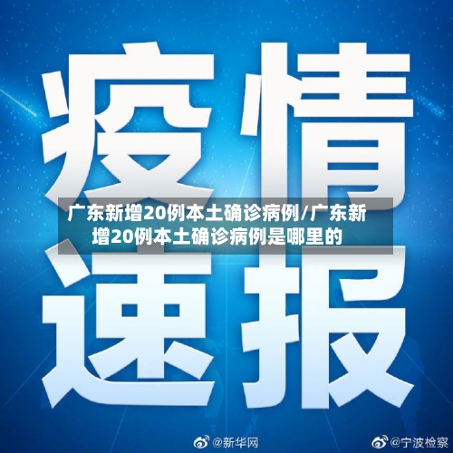 广东新增20例本土确诊病例/广东新增20例本土确诊病例是哪里的